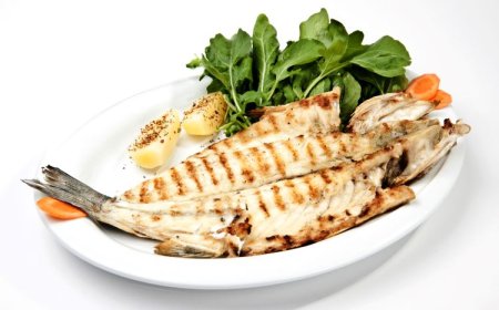 Dünya Türk levreği ve çipurasını taze, Türk somonu ve alabalığını dondurulmuş sevdi