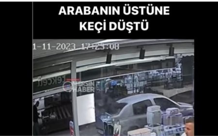 Mersin'de Bir Binanın Üçüncü Katından Atlayan Keçi Arabanın Üzerine Düştü