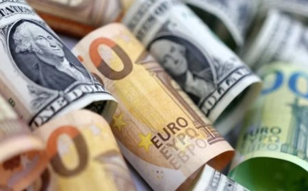 Piyasalarda yükseliş sürüyor: Eurodan tarihi rekor