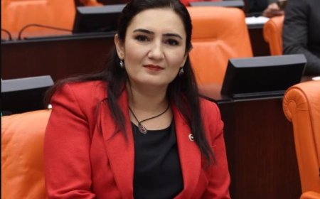 Sevda ERDAN KILIÇ - 28. DÖNEM İZMİR MİLLETVEKİLİ