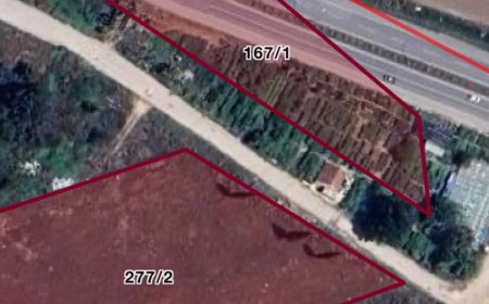 İlgili Kurumlar Gerçekten Gereğini Yapmıyor mu?