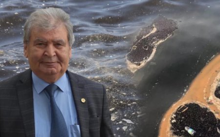 Prof. Dr. Yaşar’dan ‘Körfez’ çıkışı: Kimse iklimi suçlamasın; denizler S.O.S veriyor!