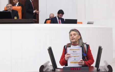 “DÜZKÖY VE ARAKLI’DA YAŞANACAK BİR DOĞA KATLİAMINA ASLA İZİN VERMEYİZ!”