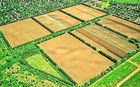 MİRAS KALAN ARAZİLERİN EKİLMESİNDE ÖNEMLİ GELİŞME