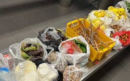 Türkiye'den getirilen yiyecekler Alman gümrüğüne takıldı