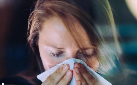 İngiltere'de Yeni Domuz Gribi Varyantının İnsandaki İlk Vakası Tespit Edildi