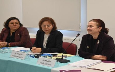 “Israrlı Takip” Konulu Panelde Kadına Yönelik Şiddet Ele Alındı