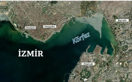 Türkiye'de neden deniz taşıyor? Denizi doldurmak felakete mi yol açıyor?