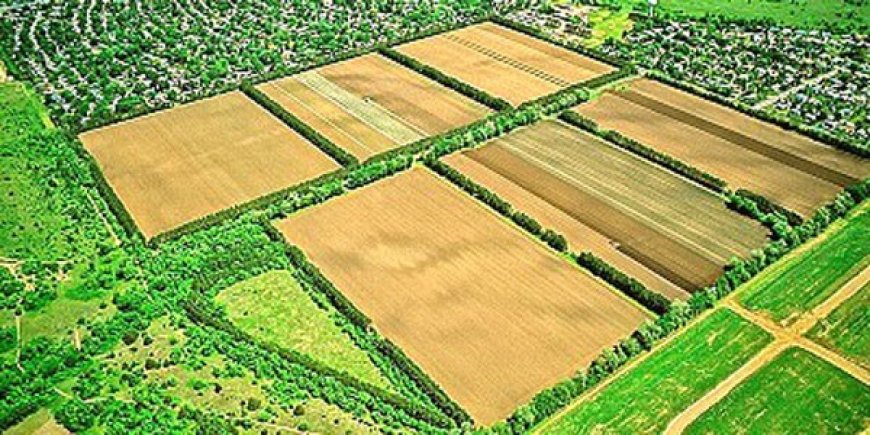 MİRAS KALAN ARAZİLERİN EKİLMESİNDE ÖNEMLİ GELİŞME