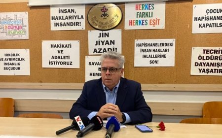 AP Türkiye Raportörü: “İnsan hakları AYM’nin koruması altında olmalı”