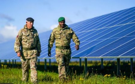 İngiliz ordusunun güneş panellerini, Çin'de Uygurların zorla çalıştırılmasıyla ilişkili olduğu iddia edilen şirketlerin ürettiği ortaya çıktı