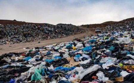 Avrupa Birliği satılmayan giysi ve ayakkabıların imhasını yasakladı