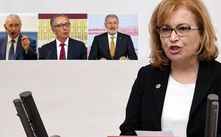 İYİ Parti'de Yaprak Dökümü Devam Ediyor: Ayşe Sibel Yanıkömeroğlu da İstifa Etti