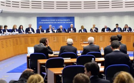 AİHM Yalçınkaya Kararı Işığında Derdest Davalar İçin Ek Dilekçe Verilmesi gerekir mi?