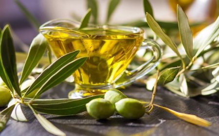 Zeytinyağı İhracatında Yasaklar İç Piyasada Ters Etki Yaptı: Fiyatlar Yüzde 30 Arttı