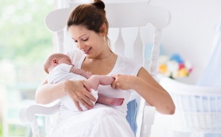 Ek Gıda Geçişi ve Aşılar Hakkında Bilgi İstirhamı