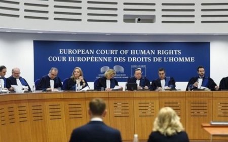 10 Aralık Dünya İnsan Hakları günü. 