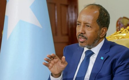 Somali Cumhurbaşkanı: Tutuklama emri yoktu; oğlum Türkiye'den kaçmadı