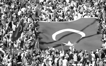 Yeni siyaset arayışlarında hangi milliyetçilik?