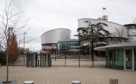 AİHM, 1000 “ByLock davasını” Ankara’ya iletti