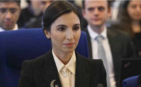 Kira fiyatlarından yakınan Merkez Bankası Başkanı Erkan'ın Bodrum'da denize sıfır villası varmış