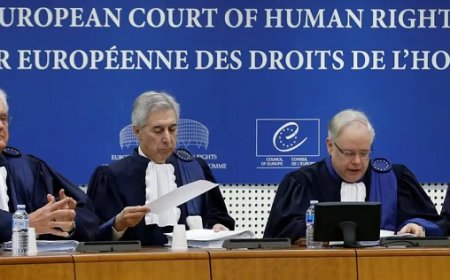 AİHM'nin Yüksel Yalçınkaya Kararının Detaylı İncelemesi