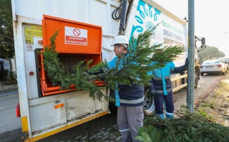 AĞAÇ DALLARINDAN GÜBRE ELDE EDİLİYOR