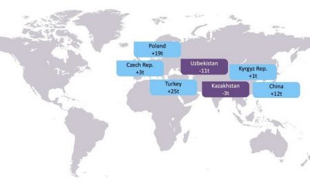 Kasım ayında dünyada en çok altını TCMB satın aldı