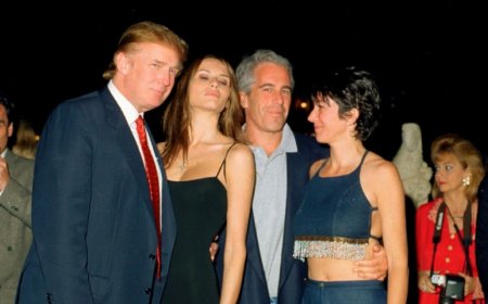 Cinsel istismar, fuhuş, pedofili, eski başkanlar, başbakanlar, ünlüler ve Mossad iddiaları