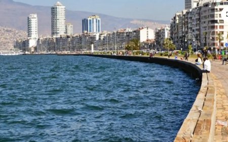 Körfez Ekosistemi Tehlikede: "Arıtma Tesislerinin Güncellenmesi Şart"