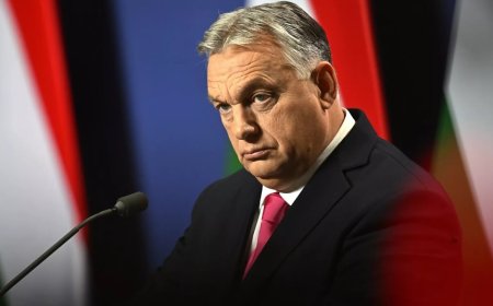 Avrupa Parlamentosu'nun 120 üyesi, Viktor Orban'ın veto yetkisinin elinden alınmasını talep etti