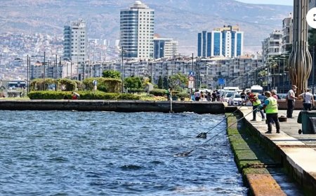 Bilim İnsanları Araştırıyor: İzmir Körfezi'nde Tsunami Riski
