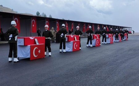 Evlatlarımız siyasetçiler için şehit düşmedi