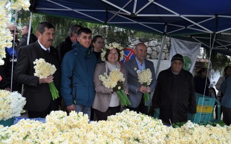 6. Karaburun Nergis Festivali: Yarıyıl Tatilinde Renkli Buluşma!