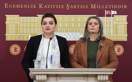 CHP Trabzon Milletvekili Sibel Suiçmez, SMA hastalığına dikkat çekti