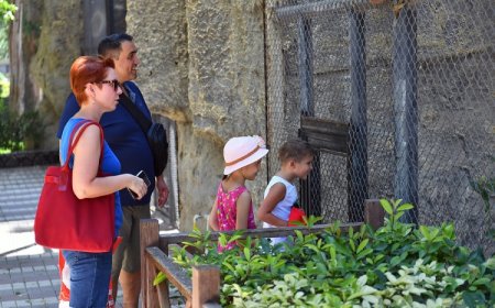 TARSUS DOĞA PARKI, RENKLİ VE HAREKETLİ BİR YIL GEÇİRDİ