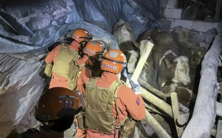 Kırgızistan-Çin sınırında yaşanan 7,1 büyüklüğündeki deprem sonrası kurtarma çalışmaları sürüyor