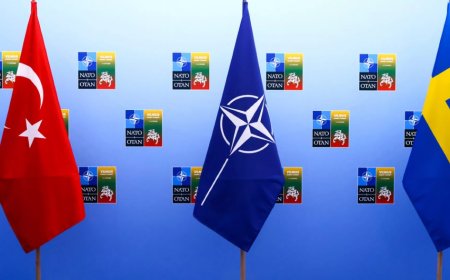 Reuters: TBMM, İsveç'in NATO üyeliğini salı günü görüşecek
