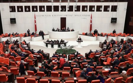 İsveç'in NATO üyeliği görüşmeleri TBMM'de başladı