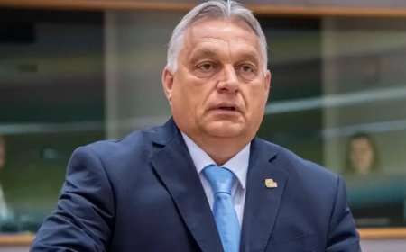 TBMM'deki oylama öncesi Orban'dan Kristersson'a davet