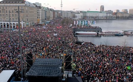 Anketler: Protestoların hedefindeki AfD oy kaybediyor
