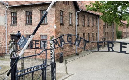 Holokost'tan kurtulan 245 bin Yahudi hayatta