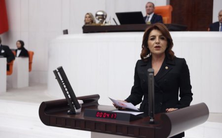 GÜLCAN KIŞ’TAN NÜKLEER SANTRAL ÇAĞRISI