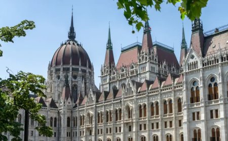 Macaristan Meclis Başkanı: İsveç konusunda acelemiz yok