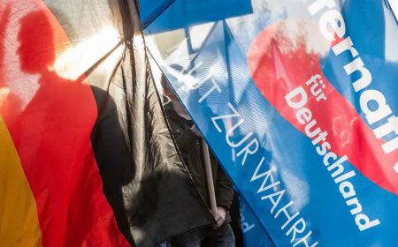 Aşırı sağcı AfD'ye üyelikte artış