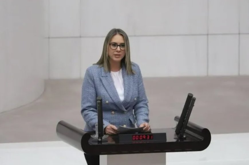 AK Parti İzmir Milletvekili Çankırı’dan Şehit Fethi Sekin Anma Mesajı