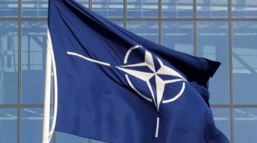 NATO: Ukrayna'ya daha fazla silah vererek Rusya'yı müzakereye ikna edebiliriz