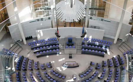 DAVA Almanya'da seçime girmeye hazırlanıyor