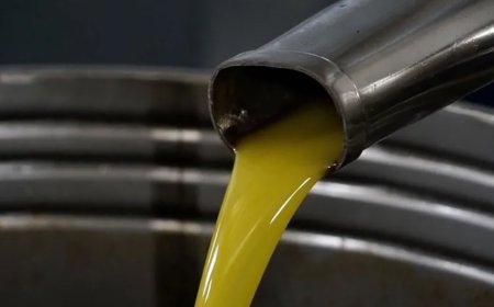 'Memecik zeytinyağı' AB tescili aldı