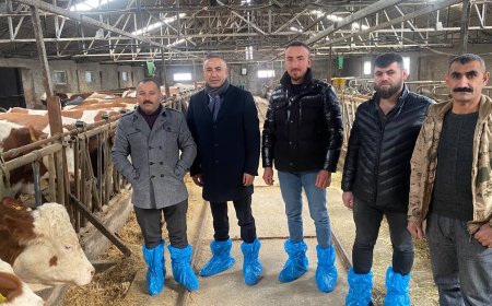 Süt üreticisi çiğ süt fiyatlarıyla ilgili uyardı: “Zarar ediyoruz inekler kesime gidiyor”